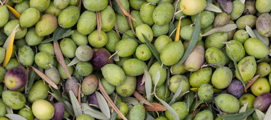 Aceite de oliva ecológico: beneficios, diferencias y dónde comprar el mejor en España