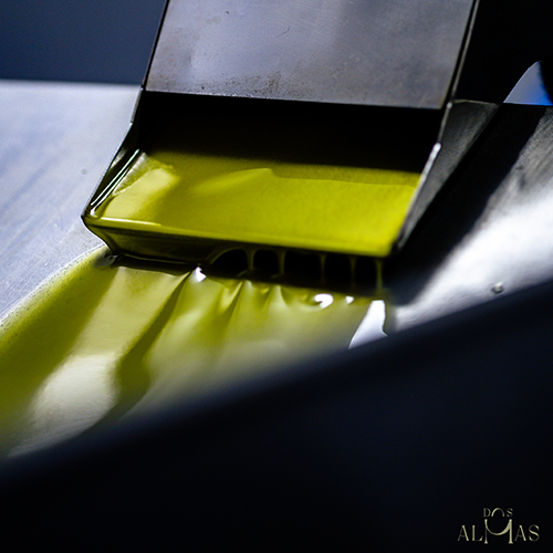 La producción del aceite