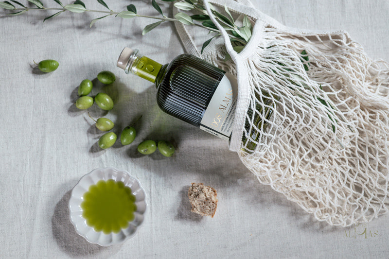 AOVE ecológico: salud, sabor y sostenibilidad desde las montañas de Cazorla