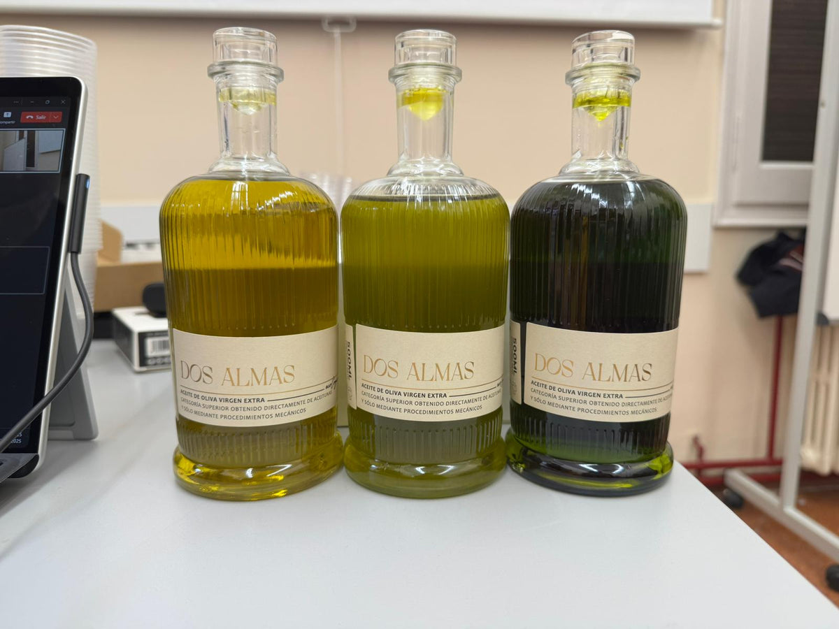Picual y Royal: diferencias, sabor y usos de cada variedad de AOVE