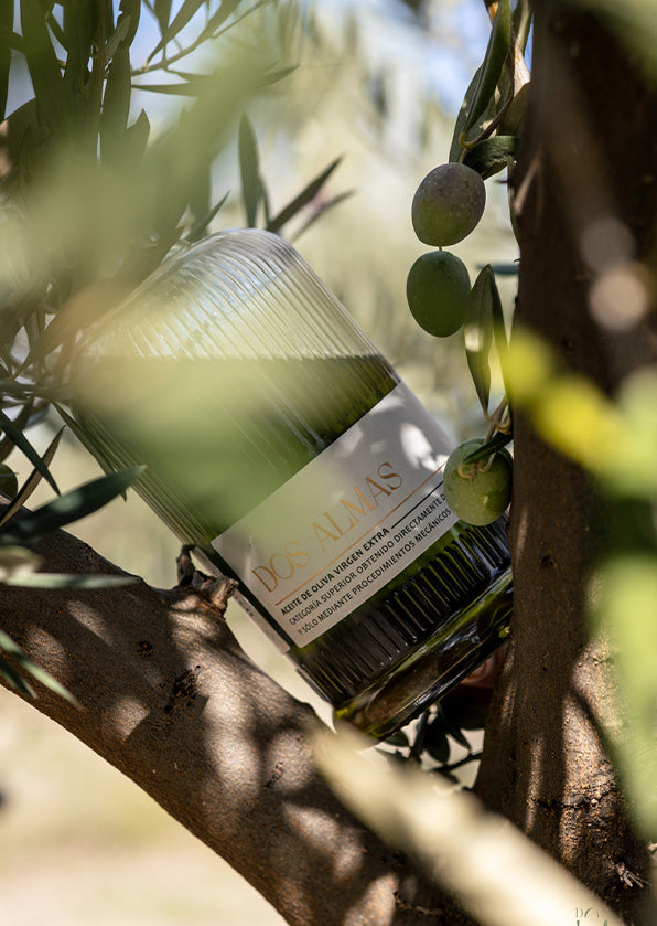 Aceite de Olivar Virgen Extra Ecológico