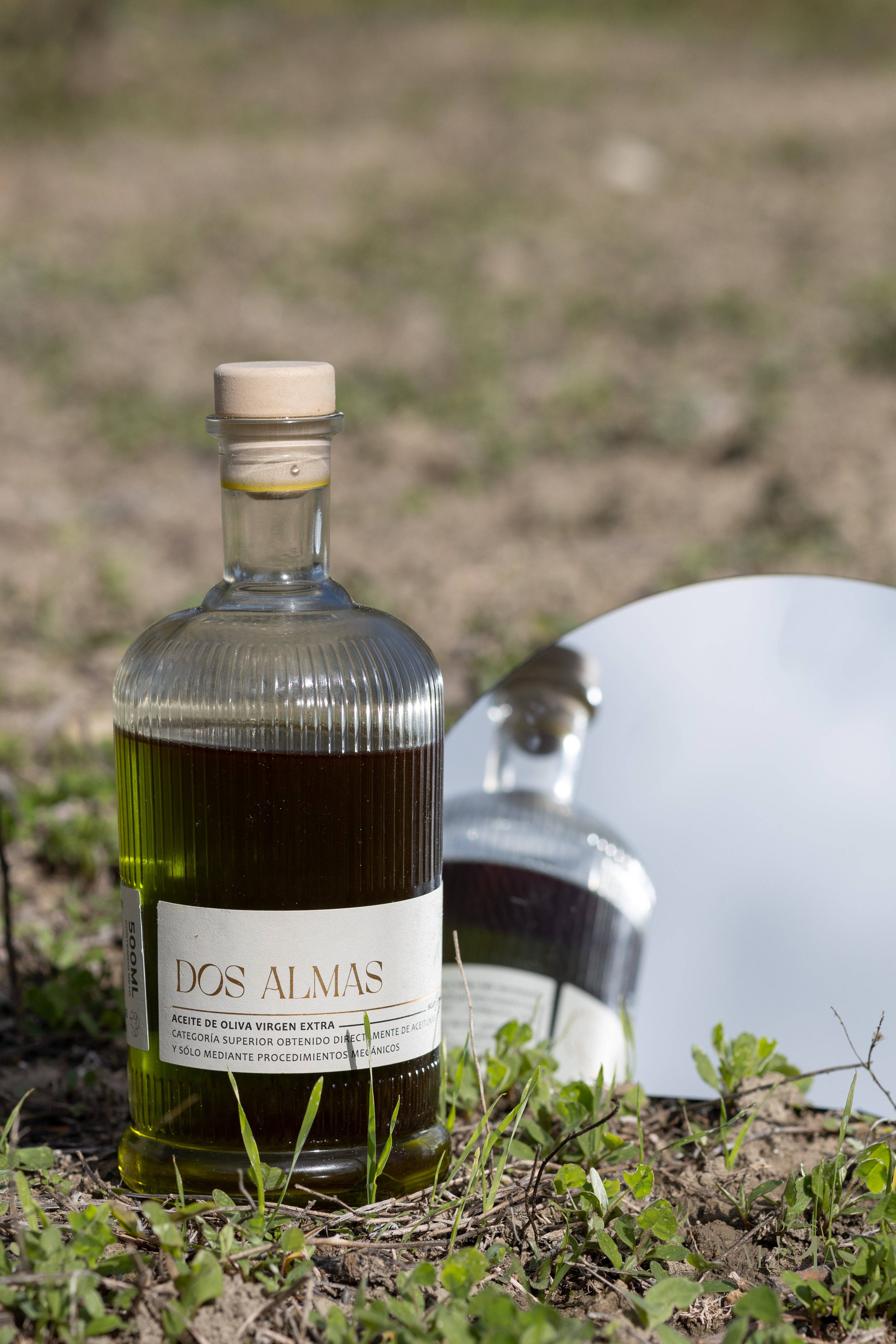 botella aove temprano verde